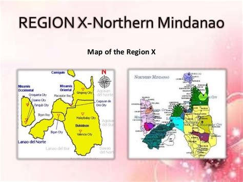 Northern Mindanao (Region X Profile) .